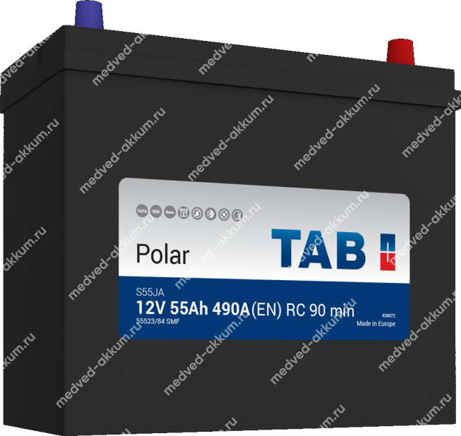 TAB Polar 55 Ач обр. B24L (55523/84)
