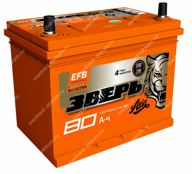 Зверь-Азия EFB 80 Ач обр. 85D23L