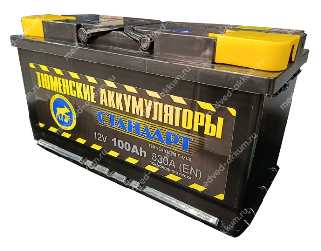 Тюмень Standard 100 Ач пр. L5