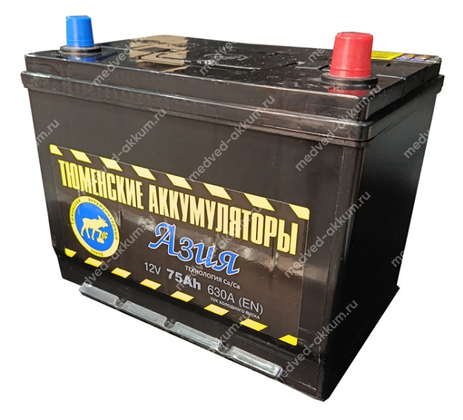 Тюмень Asia 75 Ач обр. D26L