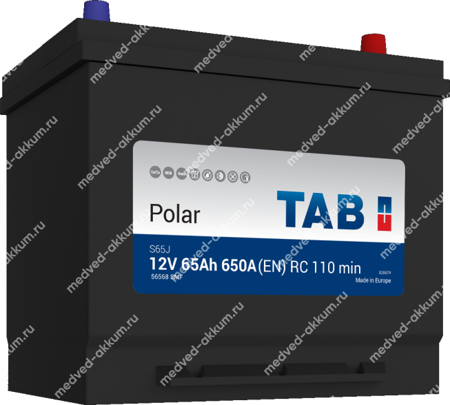 TAB Polar 65 Ач обр. D23L (56568)