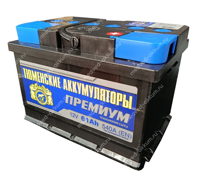 Тюмень Premium 61 Ач обр.низ. LB2